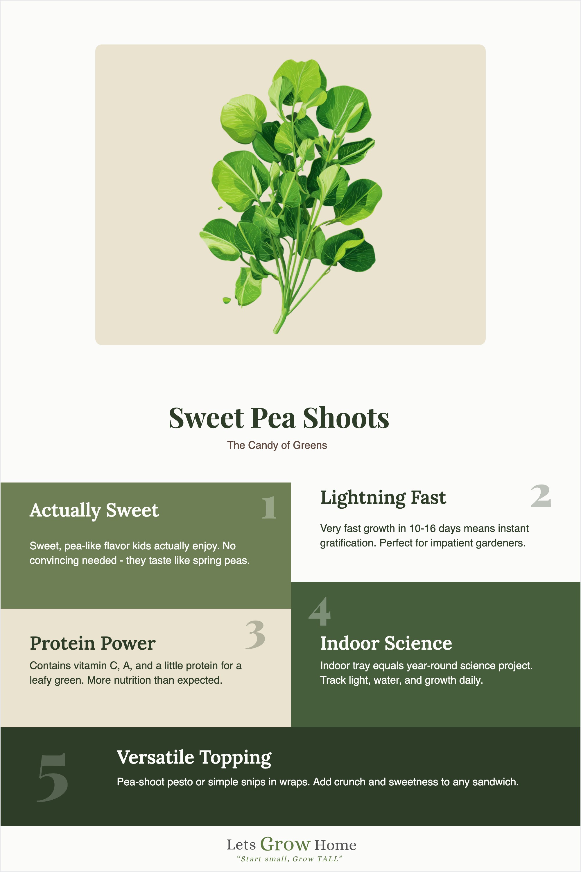 Sweet Pea Shoots